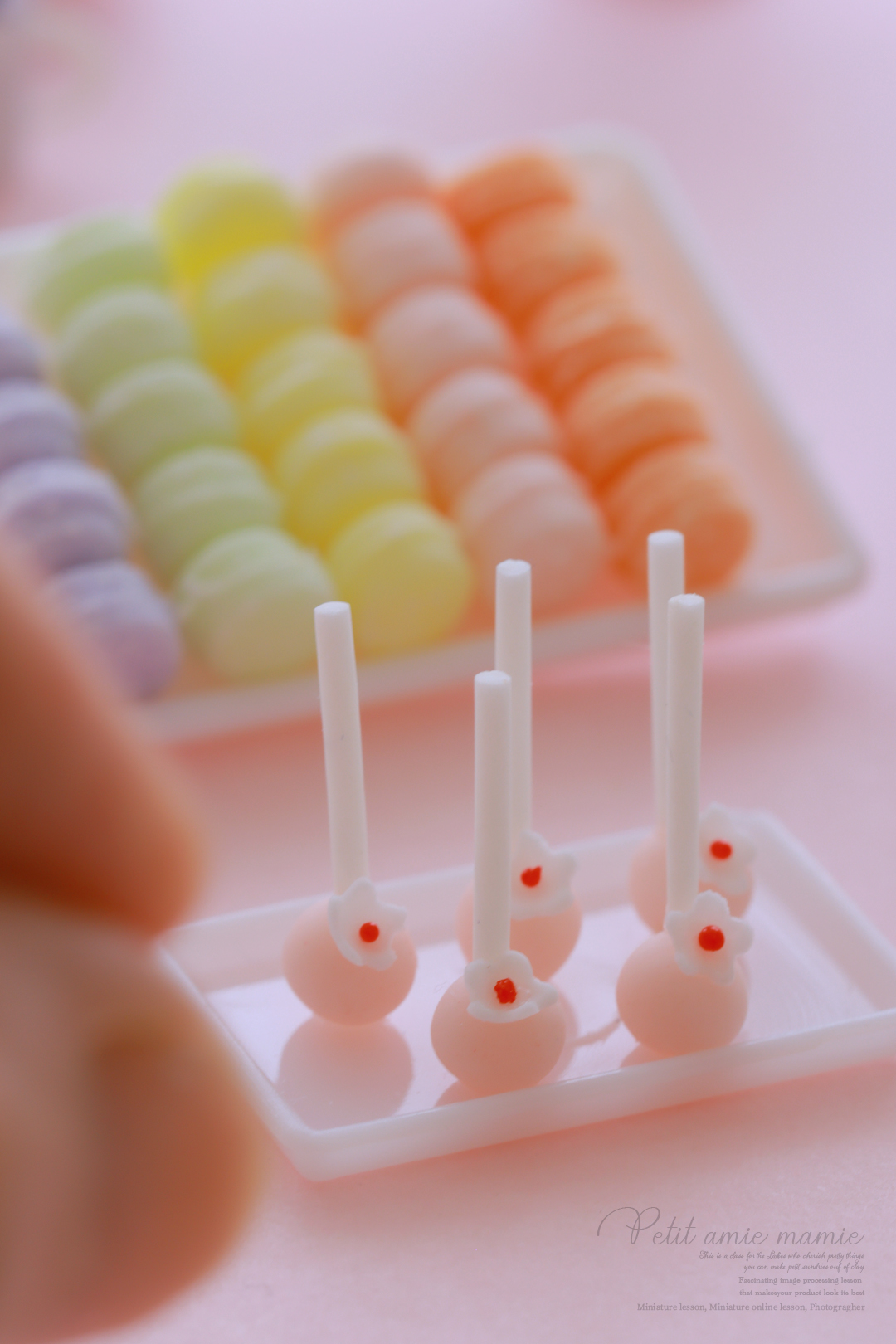 ミニチュアオンライン動画レッスン