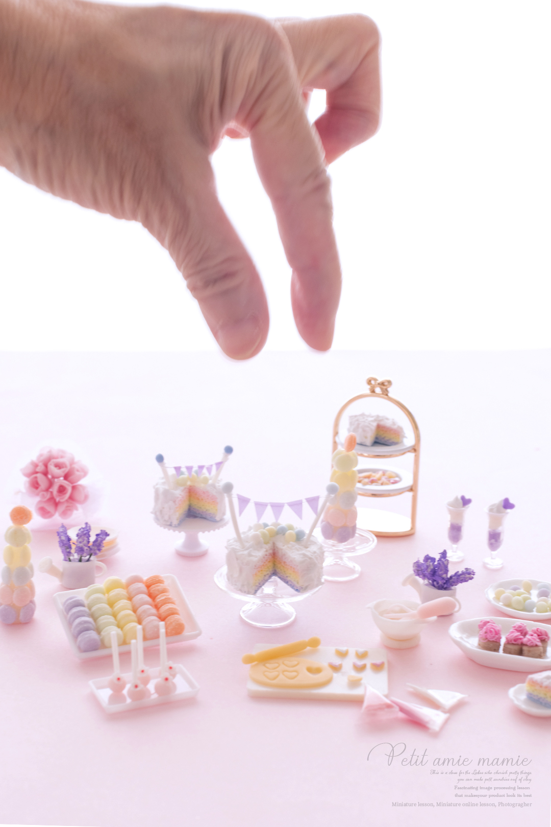 ミニチュアオンライン動画レッスン