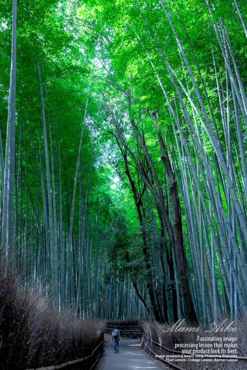 京都旅行　嵐山竹林の道