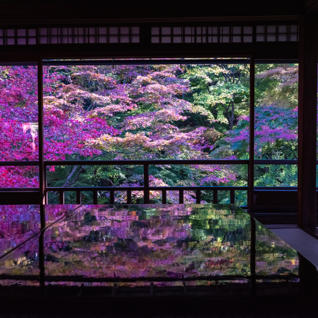 京都　瑠璃光院　紅葉